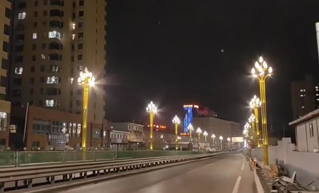 府谷县城区300套玉兰灯建设项目